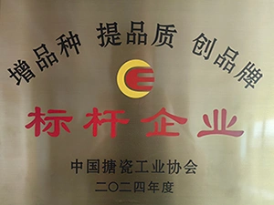 Награда и признание в качестве 